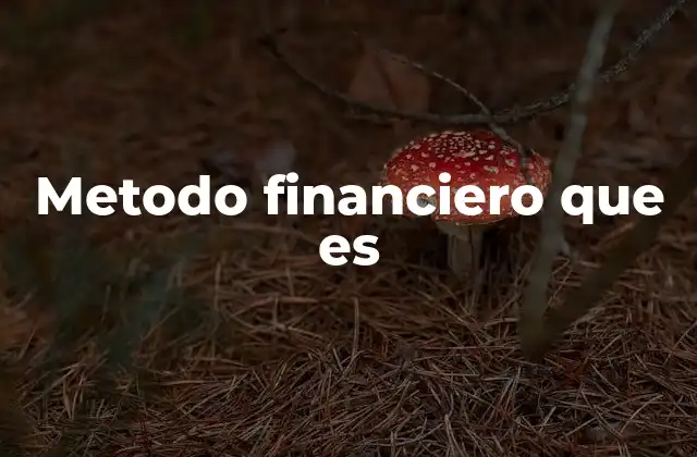 Metodo Financiero que es