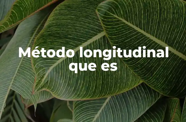 Método Longitudinal que es