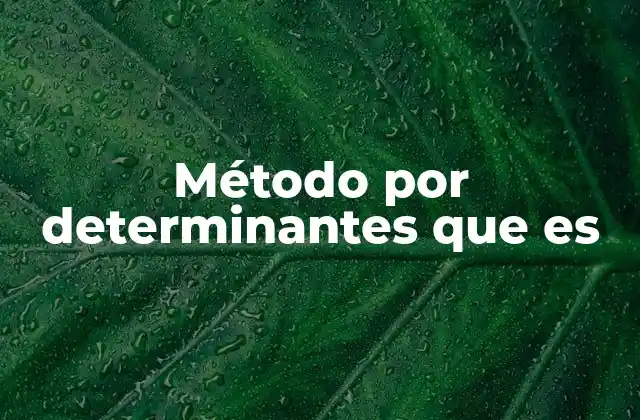 Método por Determinantes que es