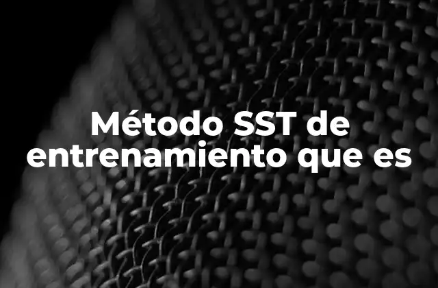 Método Sst de Entrenamiento que es