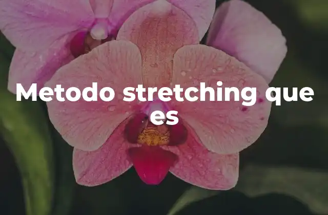 Metodo Stretching que es