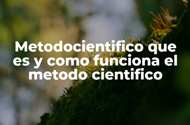 Metodocientifico que es y como Funciona el Metodo Cientifico