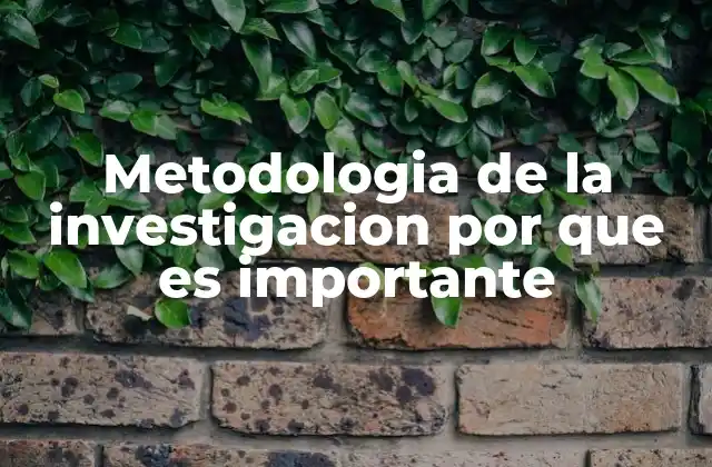 Metodologia de la Investigacion por que es Importante