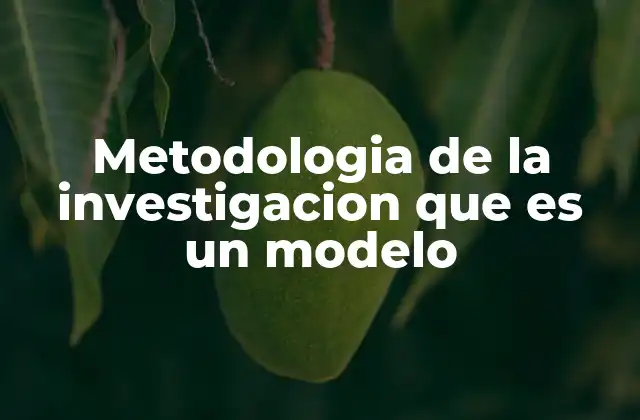 Metodologia de la Investigacion que es un Modelo