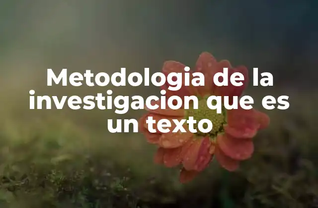 Metodologia de la Investigacion que es un Texto