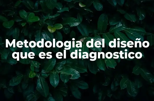 Metodologia Del Diseño que es el Diagnostico