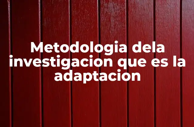 Metodologia Dela Investigacion que es la Adaptacion