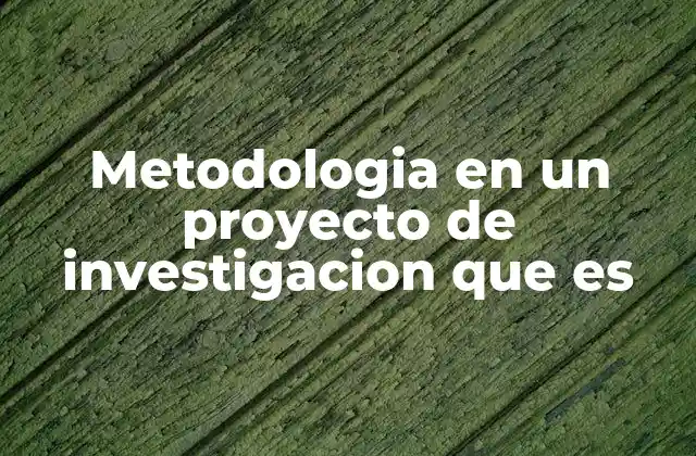 Metodologia en un Proyecto de Investigacion que es