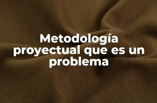 Metodología Proyectual que es un Problema