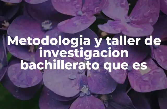 Metodologia y Taller de Investigacion Bachillerato que es 2 El rol de la investigación en la formación académica de los estudiantes