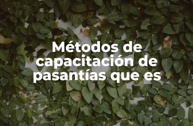 Métodos de Capacitación de Pasantías que es 2 Cómo los métodos de capacitación mejoran la formación profesional durante las pasantías