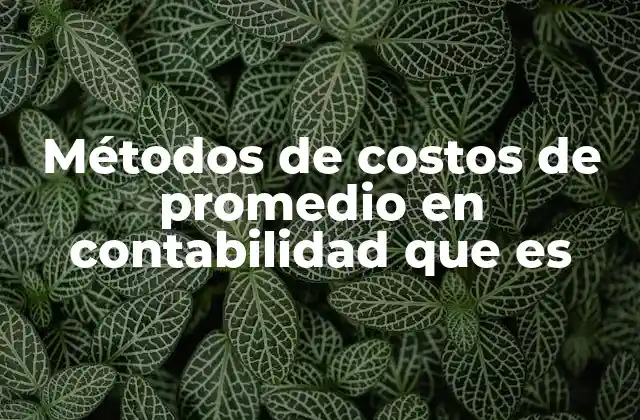 Métodos de Costos de Promedio en Contabilidad que es