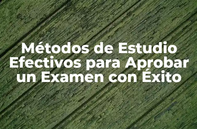 Métodos de Estudio Efectivos para Aprobar un Examen con Éxito 2 Identificar el Tipo de Examen y el Material de Estudio