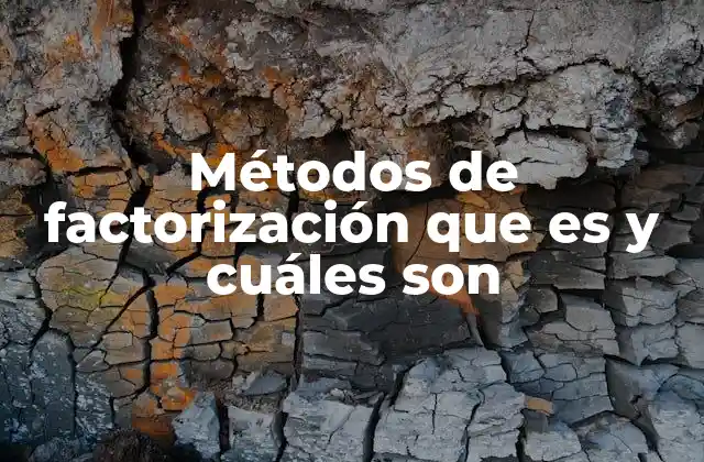 Métodos de Factorización que es y Cuáles Son