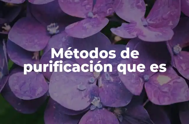 Métodos de Purificación que es