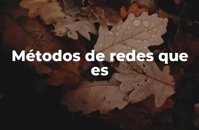 Métodos de Redes que es