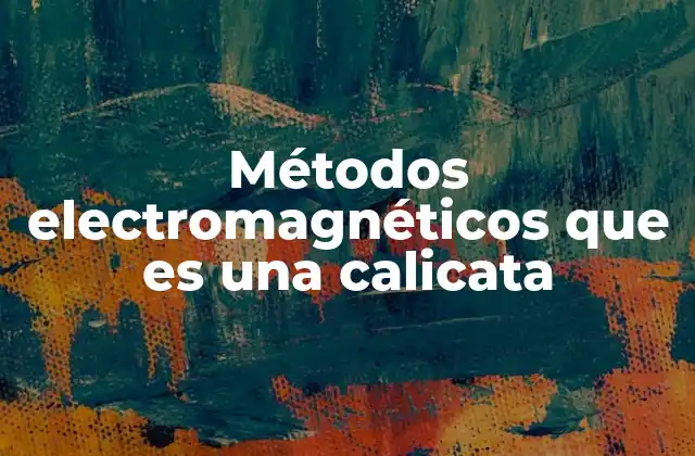 Métodos Electromagnéticos que es una Calicata