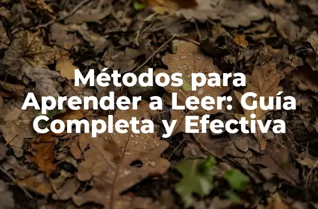 Métodos para Aprender a Leer: Guía Completa y Efectiva