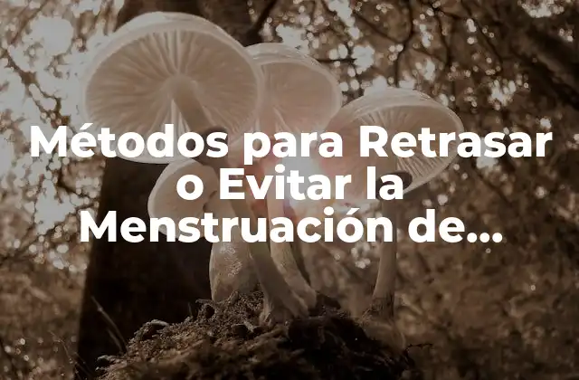 Métodos para Retrasar o Evitar la Menstruación de Forma Segura