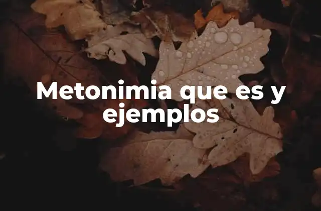 Metonimia que es y Ejemplos