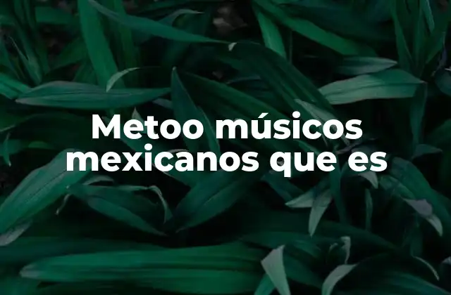 Metoo Músicos Mexicanos que es