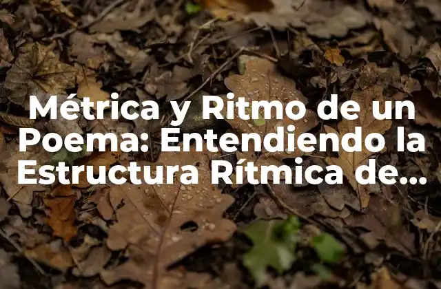 Métrica y Ritmo de un Poema: Entendiendo la Estructura Rítmica de la Poesía