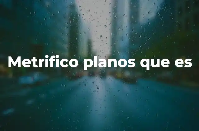 Metrifico Planos que es
