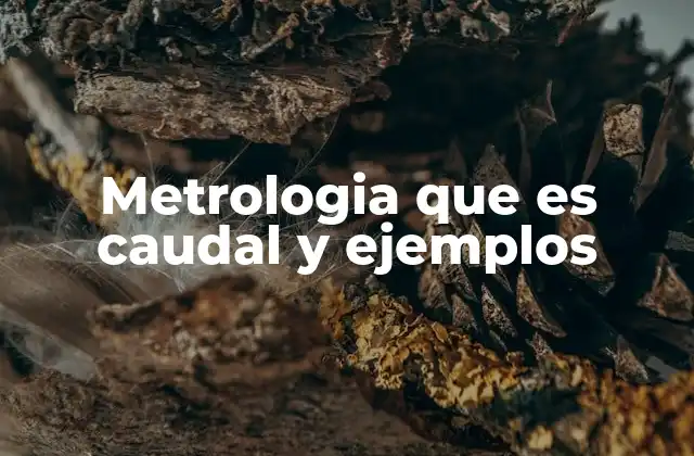 Metrologia que es Caudal y Ejemplos