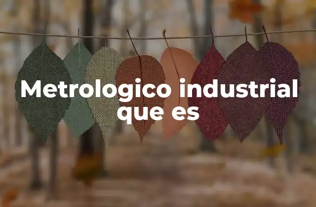 Metrologico Industrial que es