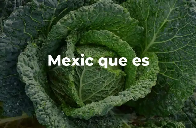Mexic que es