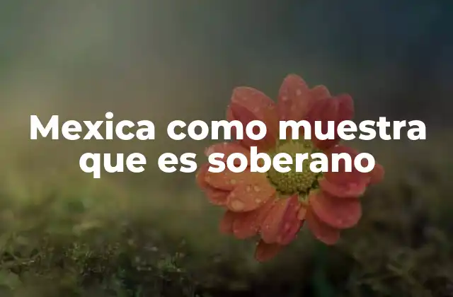 Mexica como Muestra que es Soberano