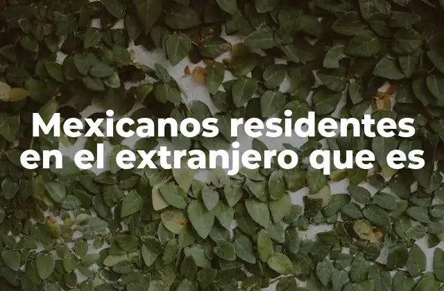 Mexicanos Residentes en el Extranjero que es