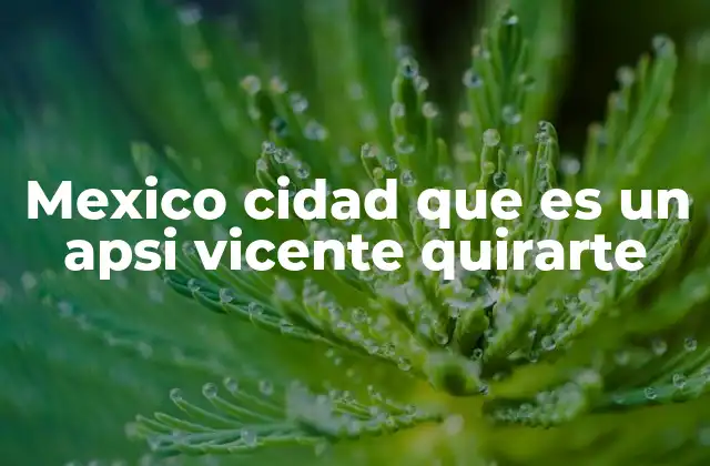 Mexico Cidad que es un Apsi Vicente Quirarte
