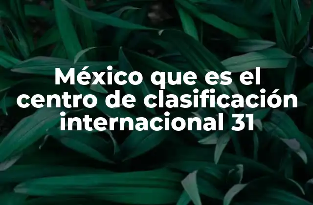 México que es el Centro de Clasificación Internacional 31