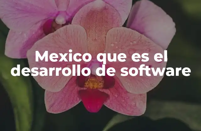 Mexico que es el Desarrollo de Software