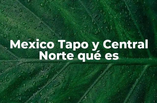 Mexico Tapo y Central Norte Qué es