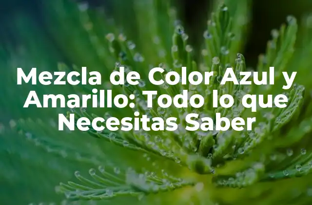 Mezcla de Color Azul y Amarillo: Todo Lo que Necesitas Saber