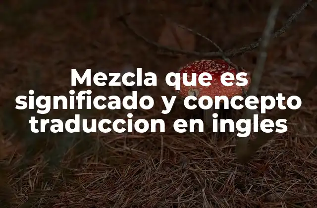 Mezcla que es Significado y Concepto Traduccion en Ingles
