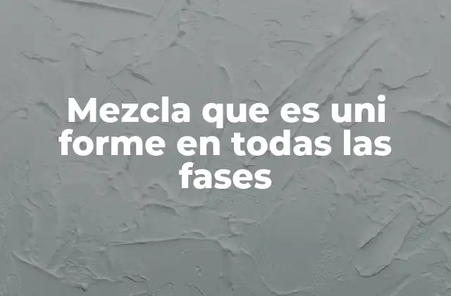 Mezcla que es Uni Forme en Todas las Fases