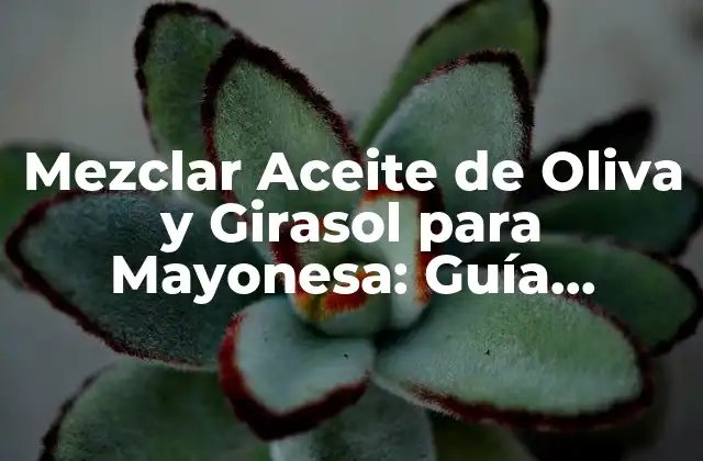 Mezclar Aceite de Oliva y Girasol para Mayonesa: Guía Completa y Detallada