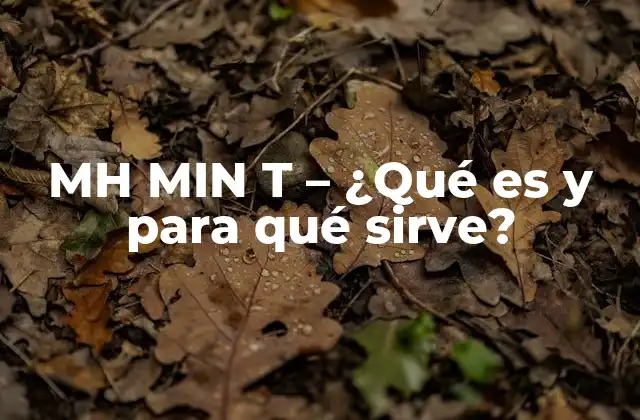 Mh Min T – ¿qué es y para Qué Sirve?