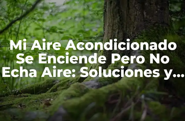 Mi Aire Acondicionado Se Enciende pero No Echa Aire: Soluciones y Causas Comunes