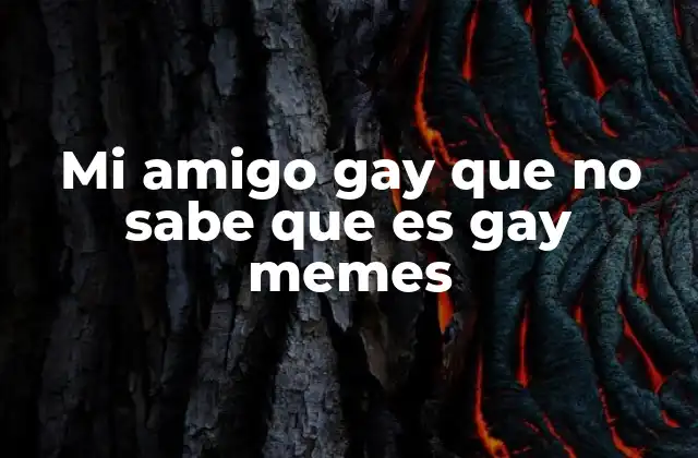Mi Amigo Gay que No Sabe que es Gay Memes