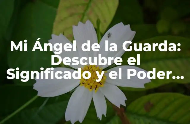 Mi Ángel de la Guarda: Descubre el Significado y el Poder de Tu Ángel Protector