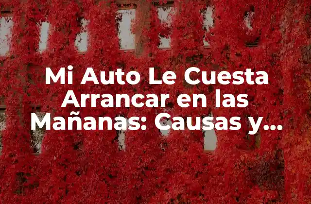 Mi Auto Le Cuesta Arrancar en las Mañanas: Causas y Soluciones
