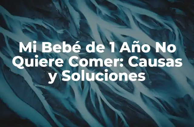 Mi Bebé de 1 Año No Quiere Comer: Causas y Soluciones