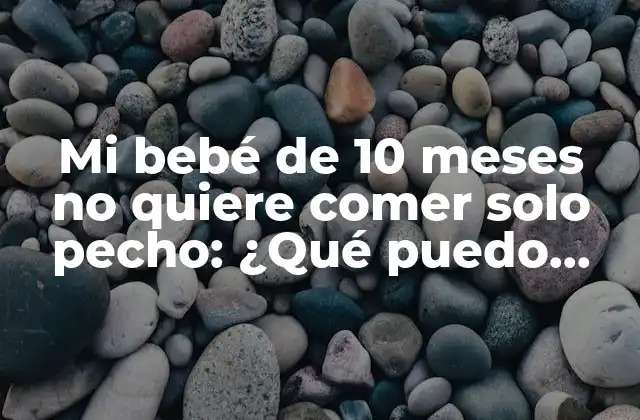 Mi Bebé de 10 Meses No Quiere Comer Solo Pecho: ¿qué Puedo Hacer?
