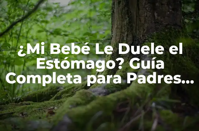 ¿Qué Causa el Dolor de Estómago en Bebés?