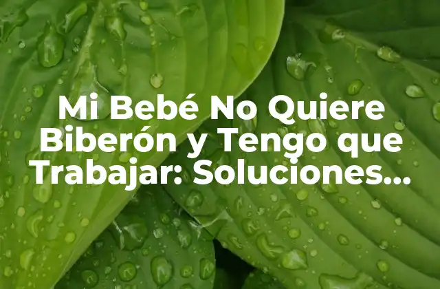 Mi Bebé No Quiere Biberón y Tengo que Trabajar: Soluciones para Padres Ocupados
