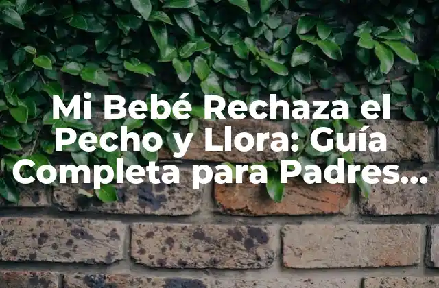Mi Bebé Rechaza el Pecho y Llora: Guía Completa para Padres Preocupados 2 ¿Por qué Mi Bebé Rechaza el Pecho y Llora?